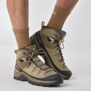 کفش کوهنوردی اورجینال مردانه برند Salomon مدل Quest Rove Gtx کد 1510334